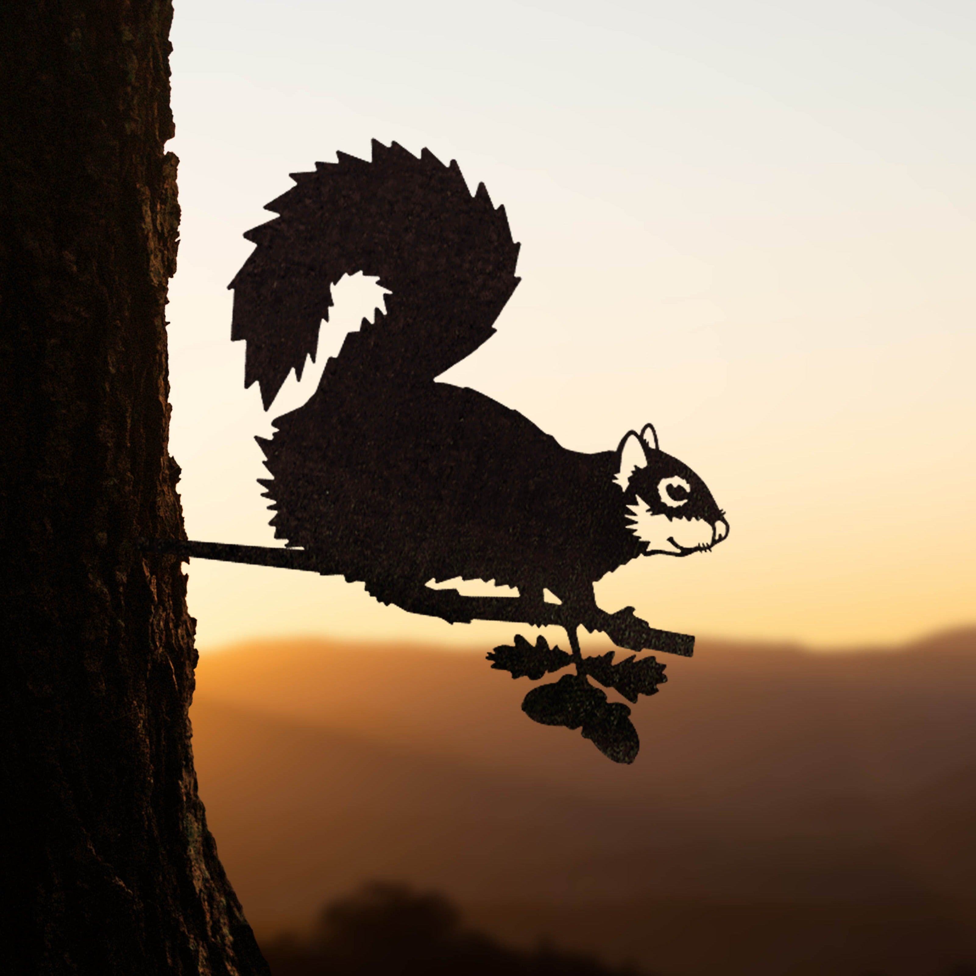 Eastern Gray Squirrel