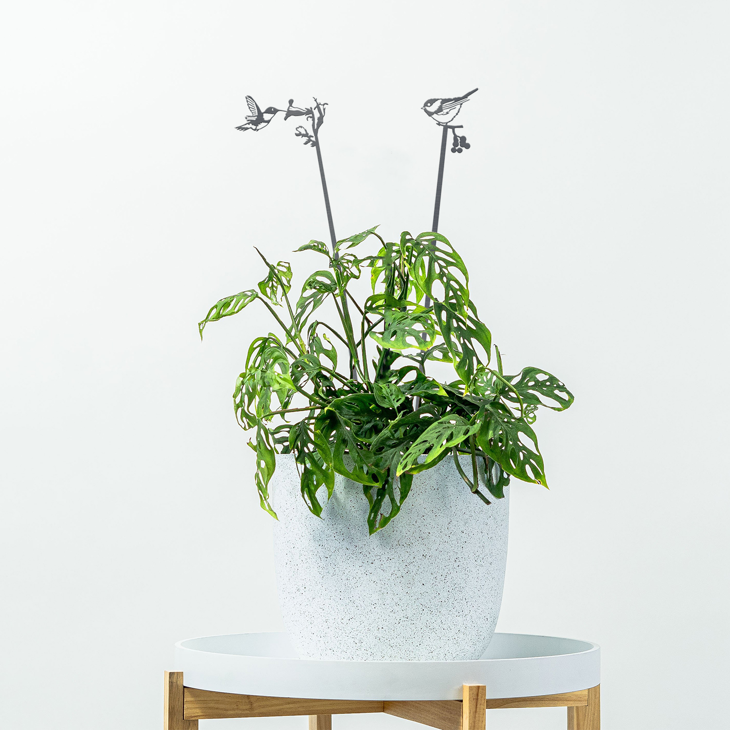 Pair of Plant Stakes