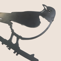 American Robin