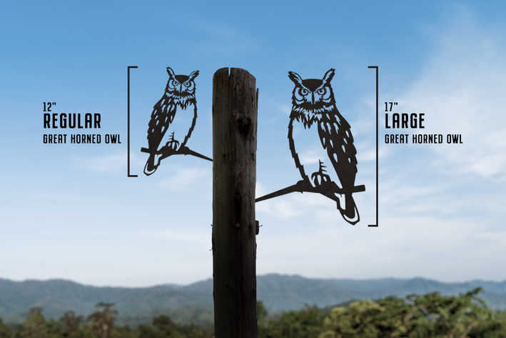 Great Horned Owl - Large